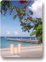 Plage et ponton du bourg des Anses d'Arlet