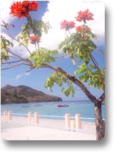 Front de mer des Anses d'Arlet