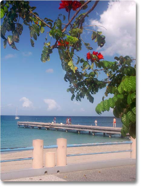 Ponton et plage du bourg des Anses d'Arlet