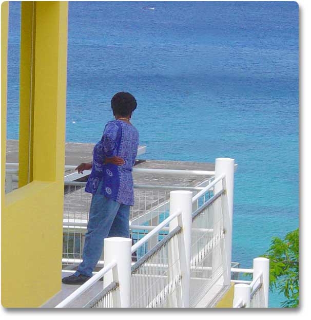 Vue sur la mer Cara�be depuis nos g�tes Batterie