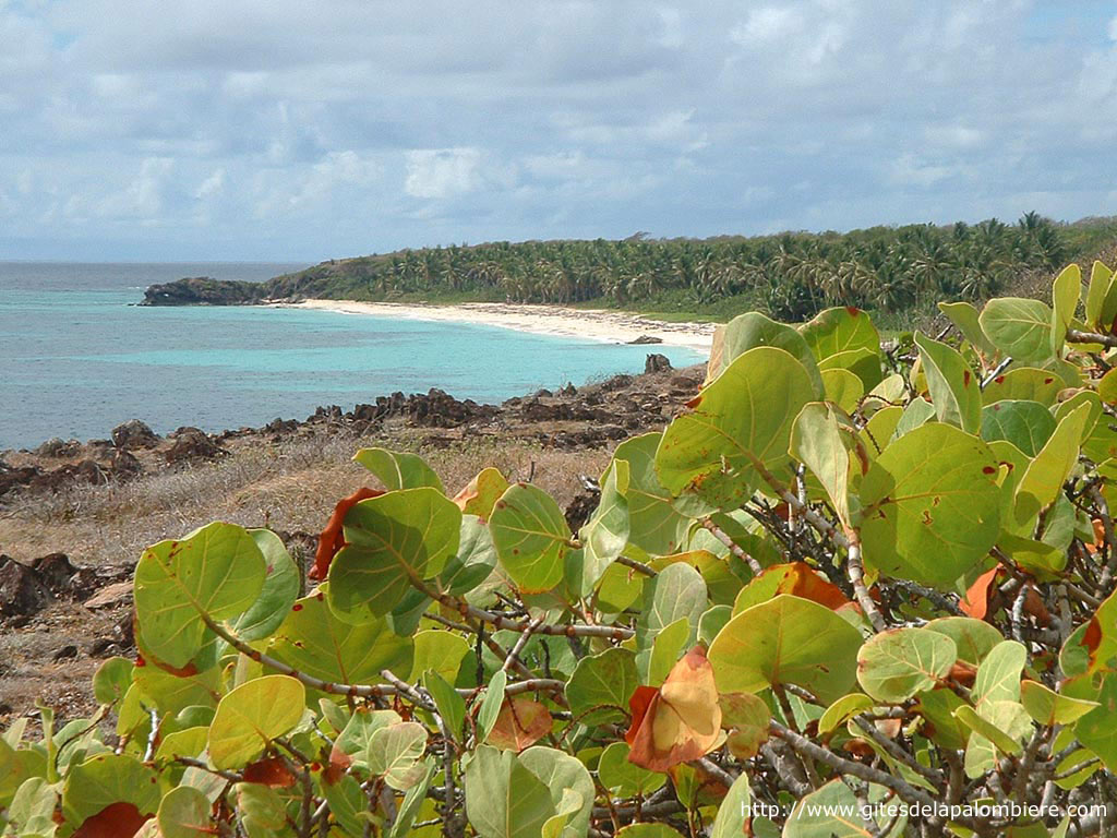 Anse Grosse Roche