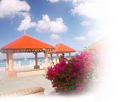 Front de mer des Anses d'Arlet