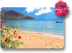 Location Martinique | La plage paisible des Anses-d'Arlet