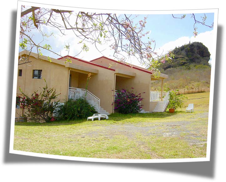 location martinique