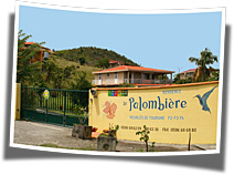 locations martinique