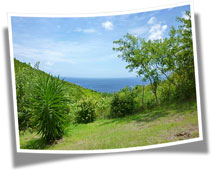 location martinique