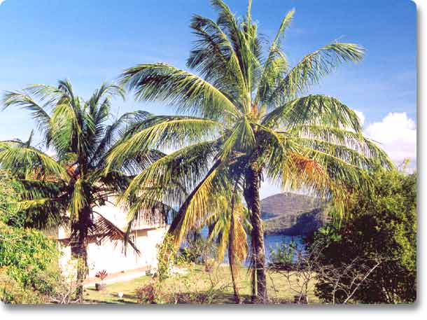 Jardin de La Palombi�re