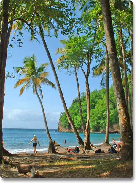 Plage de l'Anse couleuvre